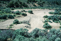 River and hay baling 020 thumbnail