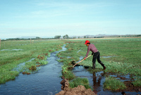Gallegos farm, Irrigation 005 thumbnail