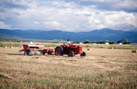 Kaber farm, Tractor driving 014 thumbnail