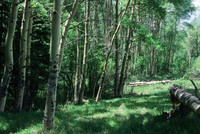 Mountain landscapes 021 thumbnail