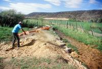 Kaber farm, Plowing and planting winter wheat 005 thumbnail