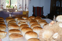 Root cellar construction and horno use 011 thumbnail