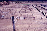 Pt. Mugu Wetlands thumbnail