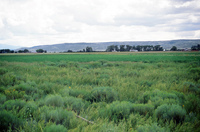 Kaber farm, Plowing 022 thumbnail