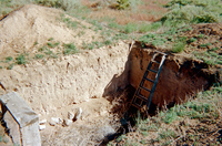 Root cellar construction 049 thumbnail