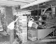 Bisceglia Brothers Company fruit processing. thumbnail