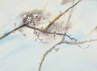 Sierra Madre & Maroa thumbnail