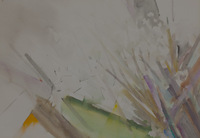 Abstract Blossoms thumbnail