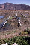 Pt. Mugu Wetlands thumbnail