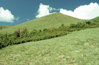 Colorado scenery 042 thumbnail