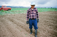 Kaber farm, Plowed fields and crops 015 thumbnail