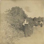 file details