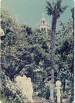 Hearst, William Randolph, San Simeon - Grounds and Landscaping thumbnail