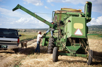 Farm equipment 010 thumbnail