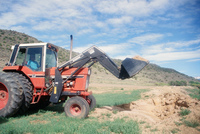 Kaber farm, Crops in the field 021 thumbnail