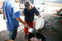 Kaber farm, Making chicharrones 025 thumbnail