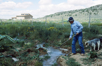 San Luis Valley farms 084 thumbnail