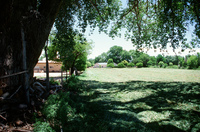 Montoya farm 002 thumbnail