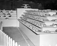 Display of fruit thumbnail