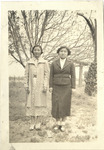 file details