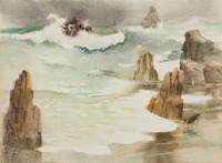 Rocks And Shore Birds 2 thumbnail