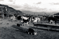 People's Ditch and hornos 004 thumbnail