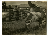 [Riding a Yearling] thumbnail