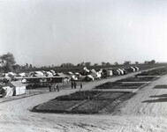 Weedpatch Camp thumbnail