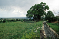 Taos Valley Acequia Association (TVAA) 006 thumbnail