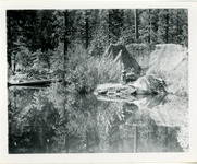 Mirror Lake, man with arms folded thumbnail