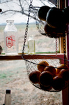 Gallegos farm, Building house fence 022 thumbnail