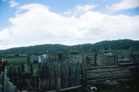 Kaber farm, Woodpile and fields 010 thumbnail