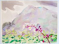 90 Carmel Valley thumbnail