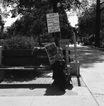 Strike for Peace thumbnail