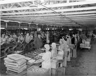 Cutting room at Bisceglia Bros. thumbnail