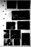 file details