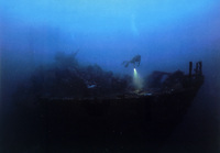Japanese vessel Hakki Muru sunk by Marine dive bombers in 1944 Simpson Harbor, New Britain Island Papau New Guinea thumbnail