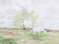 Arabian Mare thumbnail