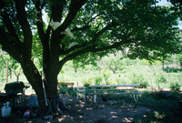 Kaber farm, Volunteers and animals 015 thumbnail