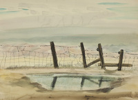 Fence Reflection thumbnail