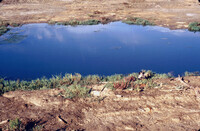 Pt. Mugu Wetlands thumbnail