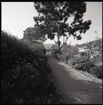 [Flora near business building] thumbnail