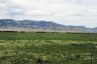 Coleman ranches 015 thumbnail