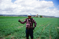 Kaber farm, Irrigating fields 043 thumbnail