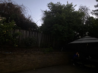 Darya Likhareva Photograph of Outdoor Space thumbnail