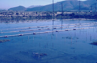 Pt. Mugu Wetlands thumbnail