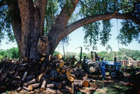 Kaber farm, Volunteers and animals 002 thumbnail