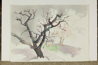 Dark Peach Light Almond thumbnail