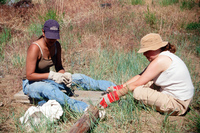 Gallegos farm, Root cellar construction 071 thumbnail