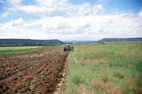 Kaber farm, Plowing 017 thumbnail